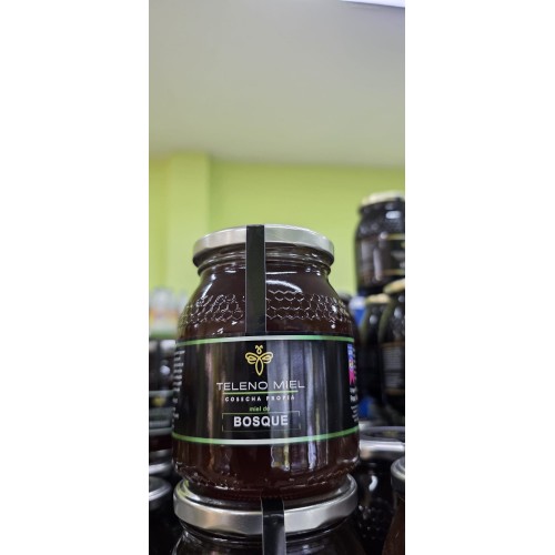 MIEL DEL BOSQUE TELENO MIEL, COSECHA PROPIA