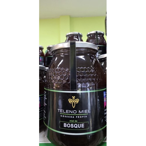 MIEL DEL BOSQUE TELENO MIEL, COSECHA PROPIA 2