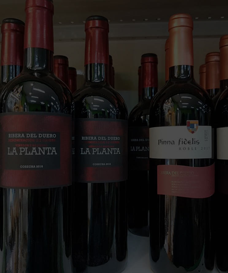 Vinos de Le&oacute;n